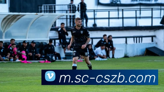 彩神争霸发展历程